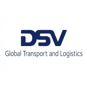 DSV logo