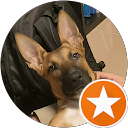 Andrea Ruiz profile picture